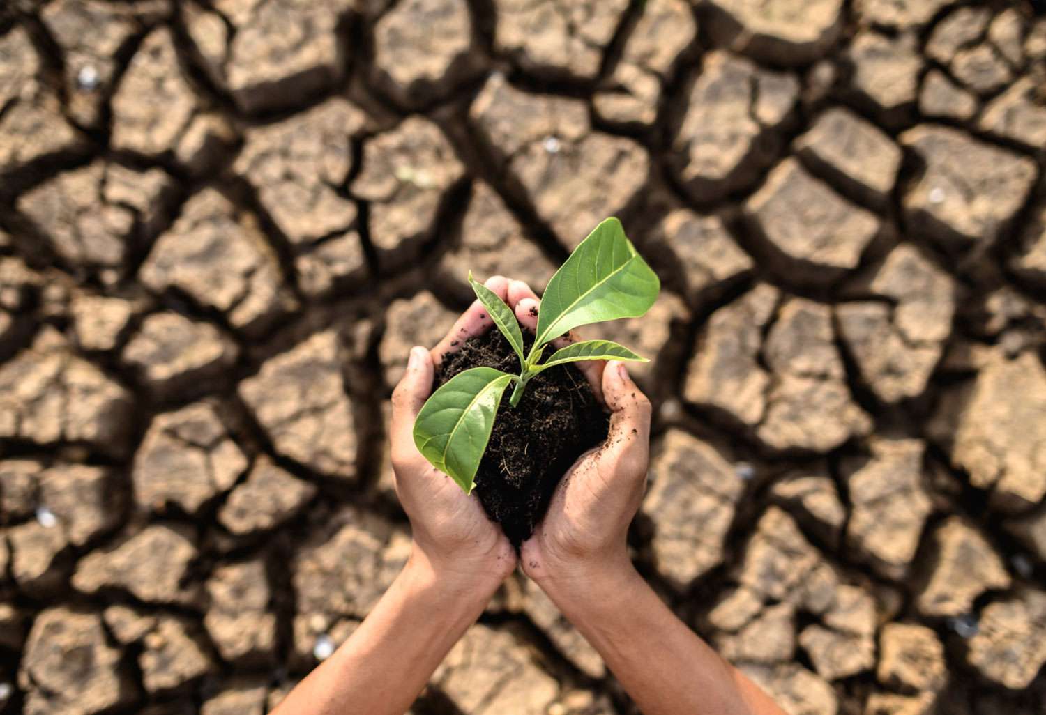 Guide to the 2026 Amendment to the EIA Regulation: A New Era and Critical Thresholds